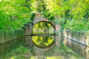 Buntingford